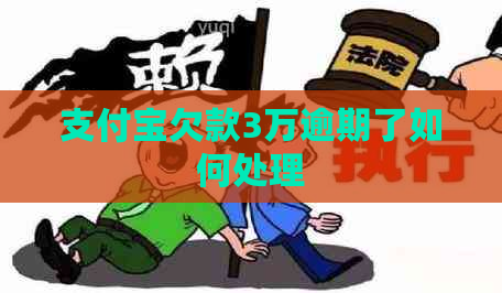 支付宝欠款3万逾期了如何处理