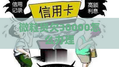 微粒贷欠30000怎么办理