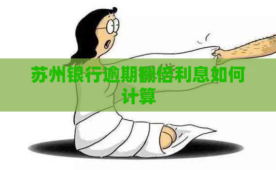 苏州银行逾期翻倍利息如何计算