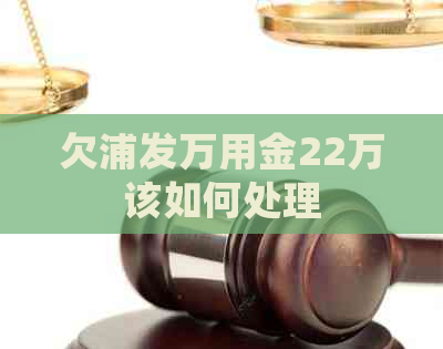 欠浦发万用金22万该如何处理