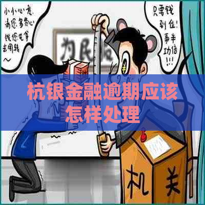 杭银金融逾期应该怎样处理