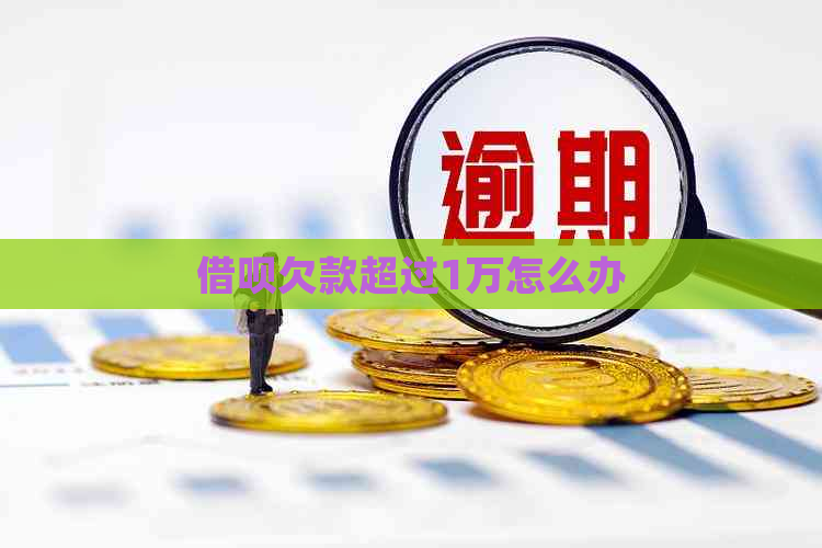 网贷欠款超过1万怎么办
