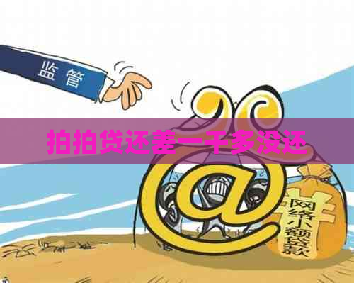 还差一千多没还