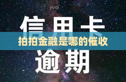 拍拍金融是哪的