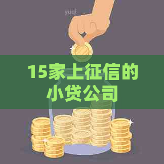 15家上的小贷公司