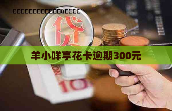 羊小咩享花卡逾期300元