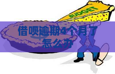 网贷逾期4个月了怎么办
