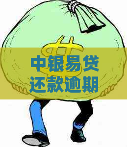 中银易贷还款逾期后果及解决方法