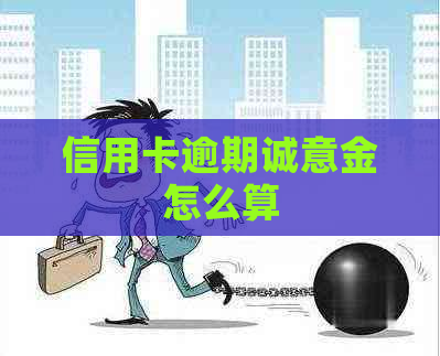 信用卡逾期诚意金怎么算