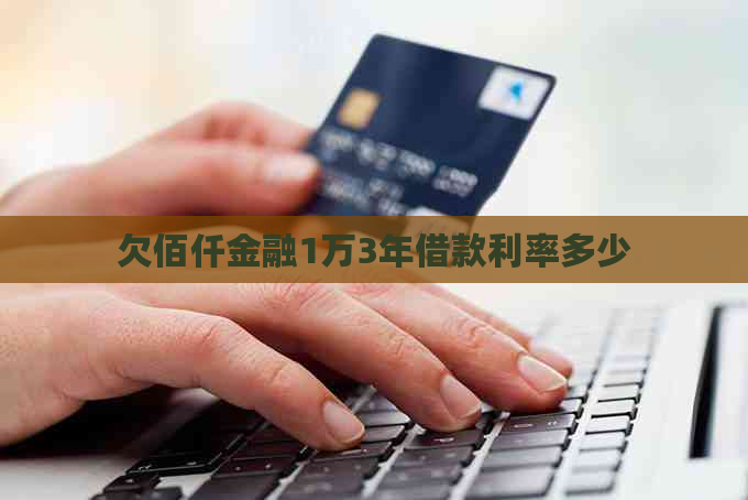 欠佰仟金融1万3年借款利率多少