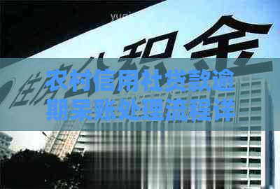 农村信用社贷款逾期呆账处理流程详解