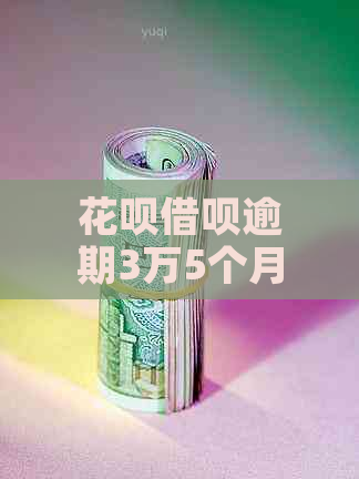 花呗借呗逾期3万5个月后果严重吗