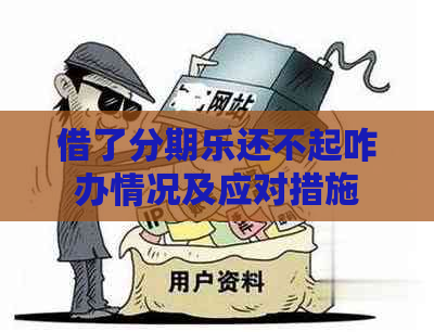 借了还不起咋办情况及应对措施