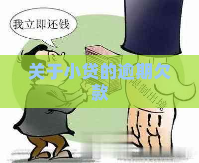 关于小贷的逾期欠款