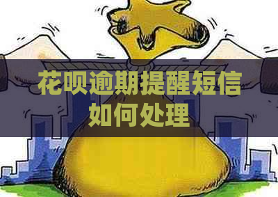 花呗逾期提醒短信如何处理