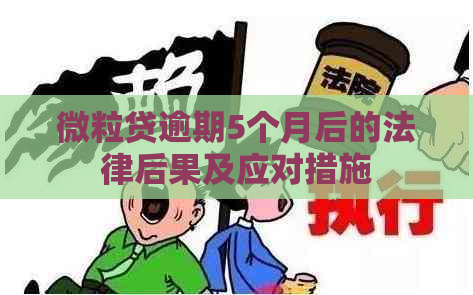 微粒贷逾期5个月后的法律后果及应对措施