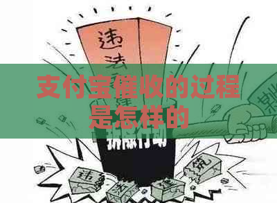 支付宝的过程是怎样的