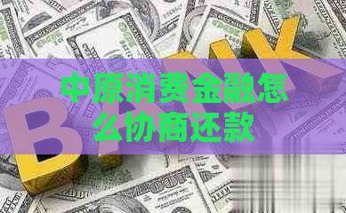 中原消费金融怎么协商还款