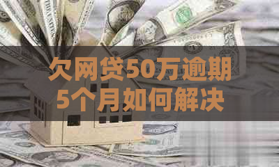 欠网贷50万逾期5个月如何解决