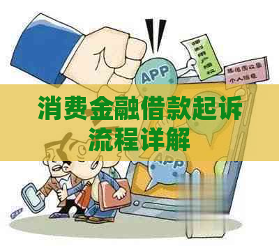 消费金融借款起诉流程详解