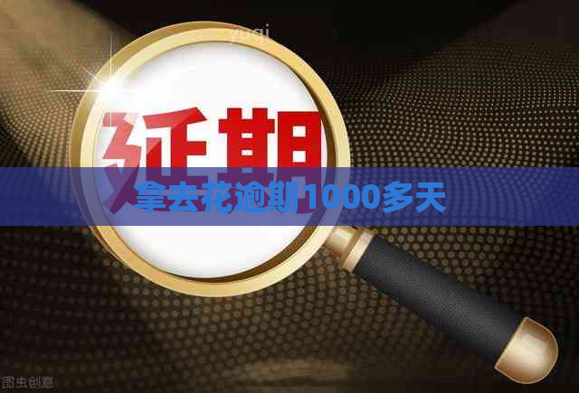 拿去花逾期1000多天