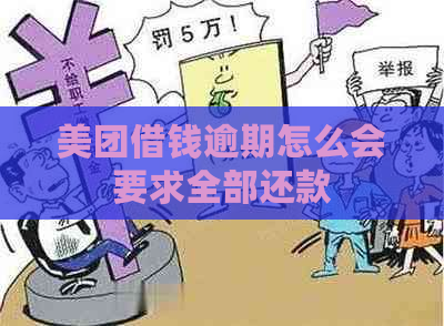 美团借钱逾期怎么会要求全部还款