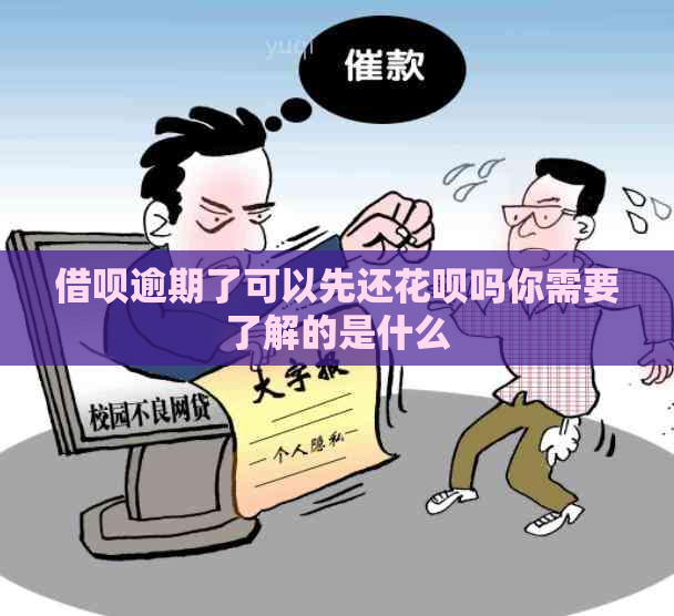 借呗逾期了可以先还花呗吗你需要了解的是什么