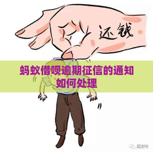蚂蚁网贷逾期的通知如何处理