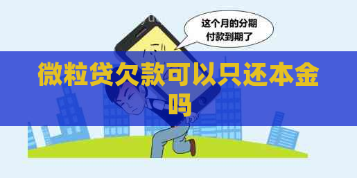 微粒贷欠款可以只还本金吗