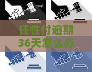 任性付逾期36天怎么办