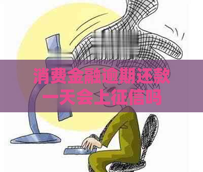 消费金融逾期还款一天会上吗