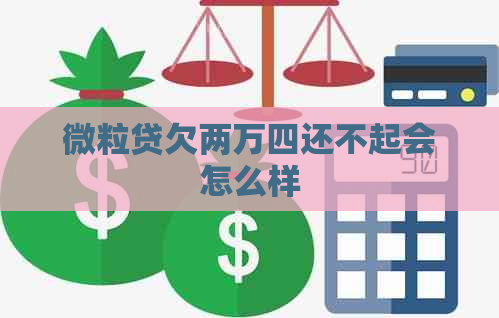 微粒贷欠两万四还不起会怎么样