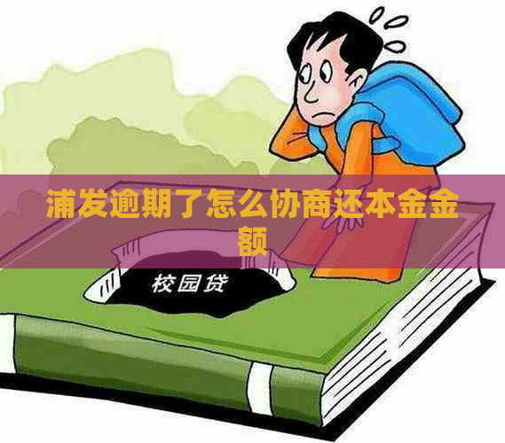 浦发逾期了怎么协商还本金金额