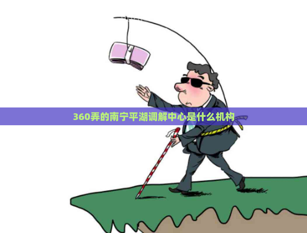 360弄的南宁平湖调解中心是什么机构