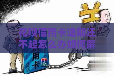 花呗信用卡逾期还不起怎么办如何解决