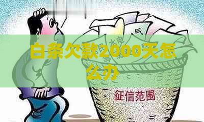 白条欠款2000天怎么办