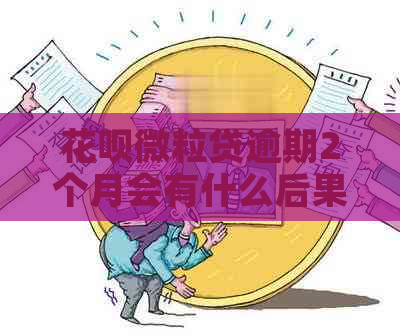 花呗微粒贷逾期2个月会有什么后果