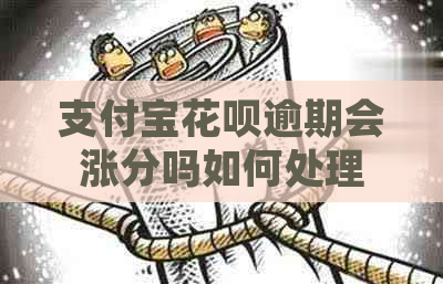 支付宝花呗逾期会涨分吗如何处理