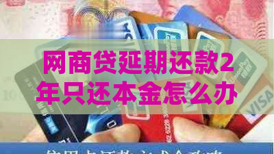 网商贷延期还款2年只还本金怎么办