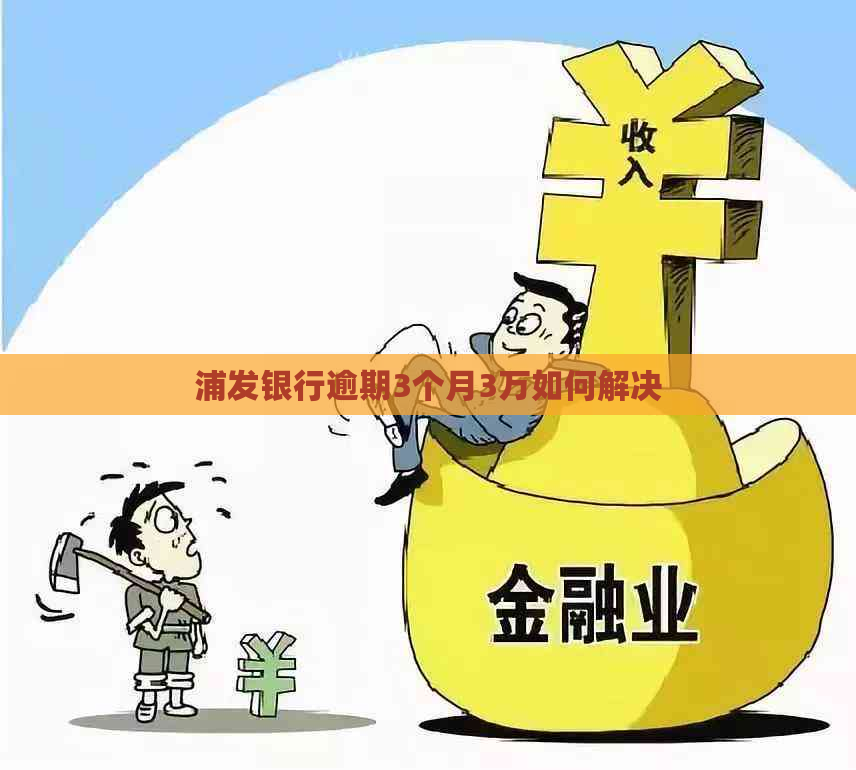 浦发银行逾期3个月3万如何解决