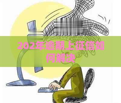 202年逾期上如何解决