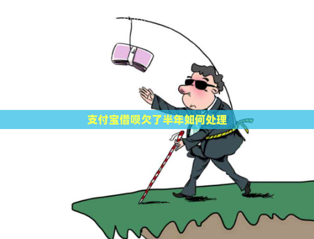 支付宝借呗欠了半年如何处理