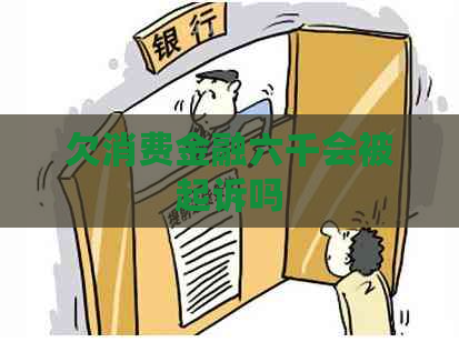 欠消费金融六千会被起诉吗