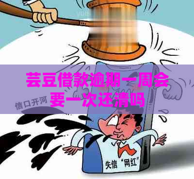 芸豆借款逾期一周会要一次还清吗