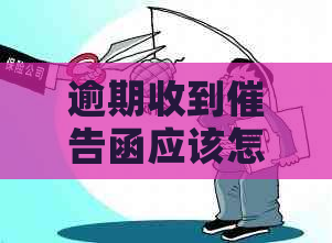 逾期收到催告函应该怎么应对