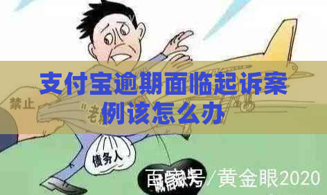 支付宝逾期面临起诉案例该怎么办