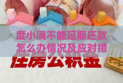 度小满不能延期还款怎么办情况及应对措施