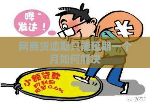 网商贷逾期只能延期一个月如何解决