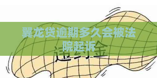 翼龙贷逾期多久会被法院起诉