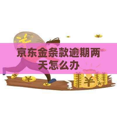 京东金条款逾期两天怎么办